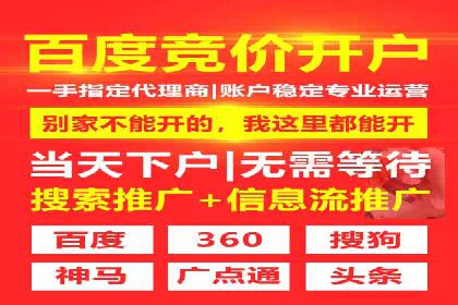 百度竞价排名服务：成功案例解析